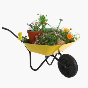 Wheel Barrow