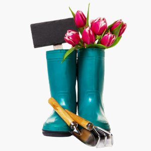 Garden Boot
