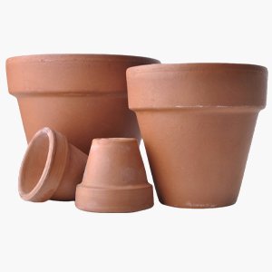 Flower Pot