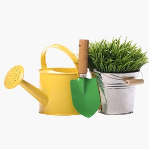 Watering Cans
