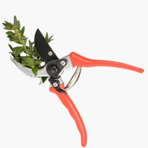 Bypass Pruners